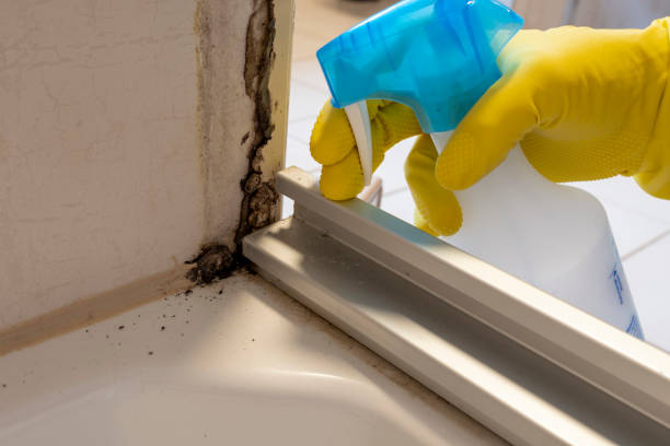 Best Mold Cleaning Services  in Beesleys Point, NJ